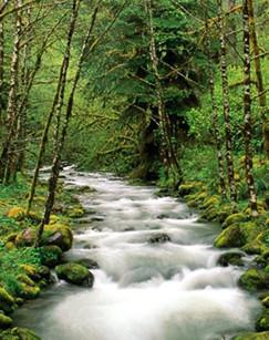 生命的力量（精编版）