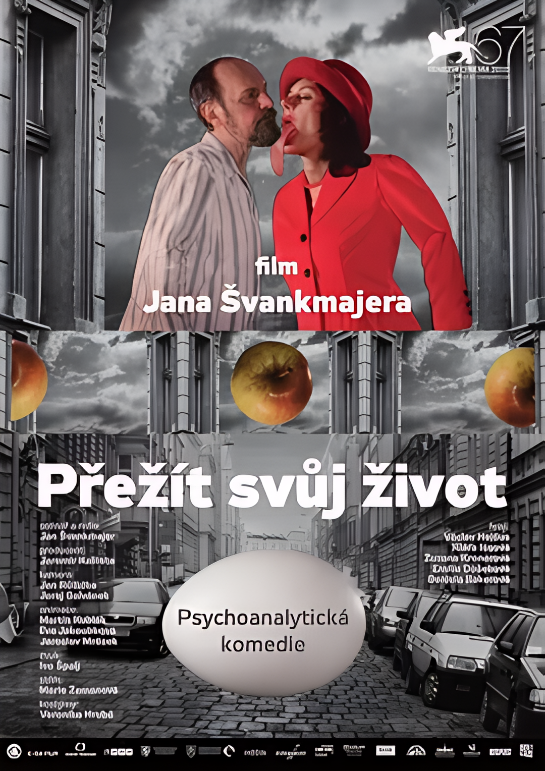 幸存的生命（理论与实践）