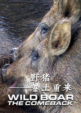 穹顶之下电影视频在线播放