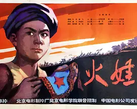 怪侠一枝梅温兆伦