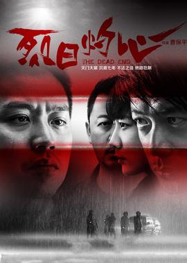 扫黑风暴13