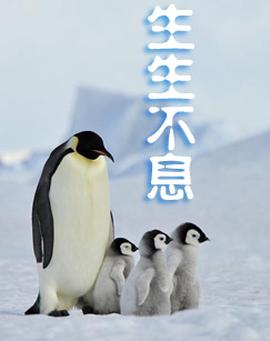 赛德克巴莱原版下载