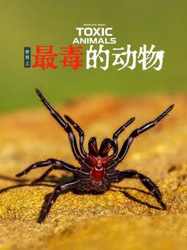玩尽杀绝1电影完整版