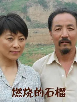 从结婚开始恋爱电视剧剧情介绍