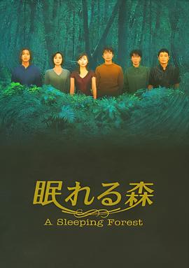 弹珠传说海小眉喜欢谁