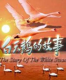 真爱不迟到