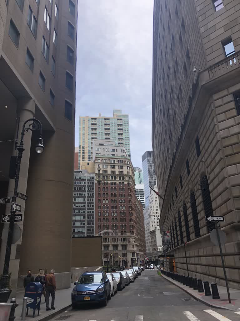 城市的街边停着汽车