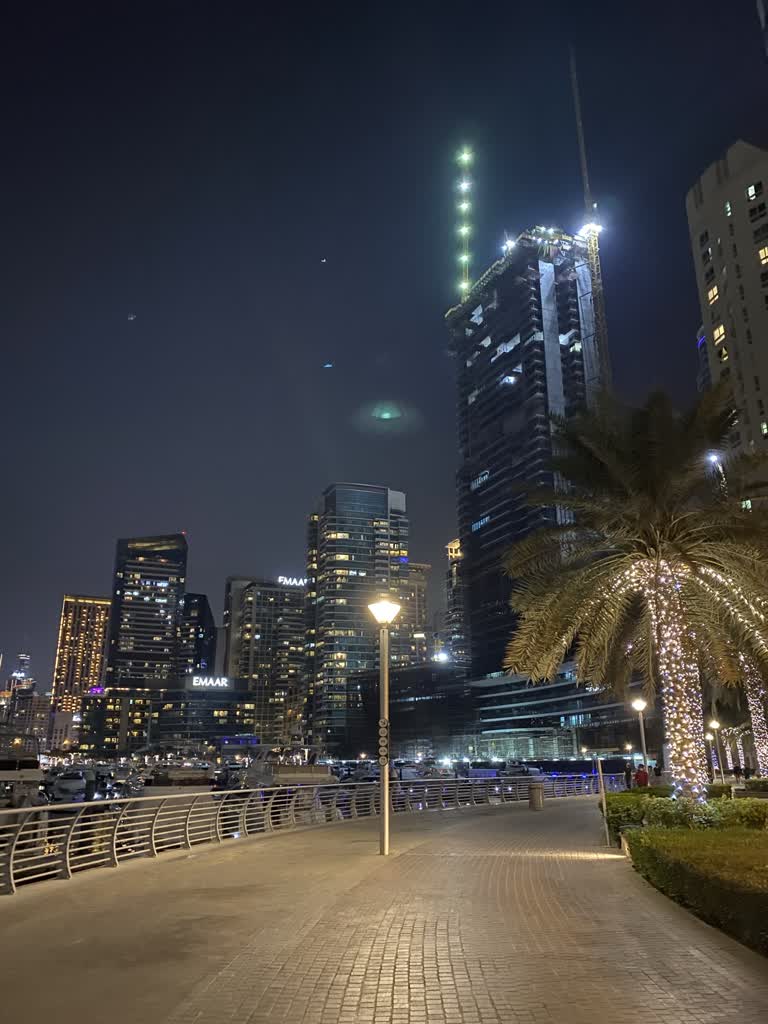 高楼大厦和棕榈树林立的城市夜景