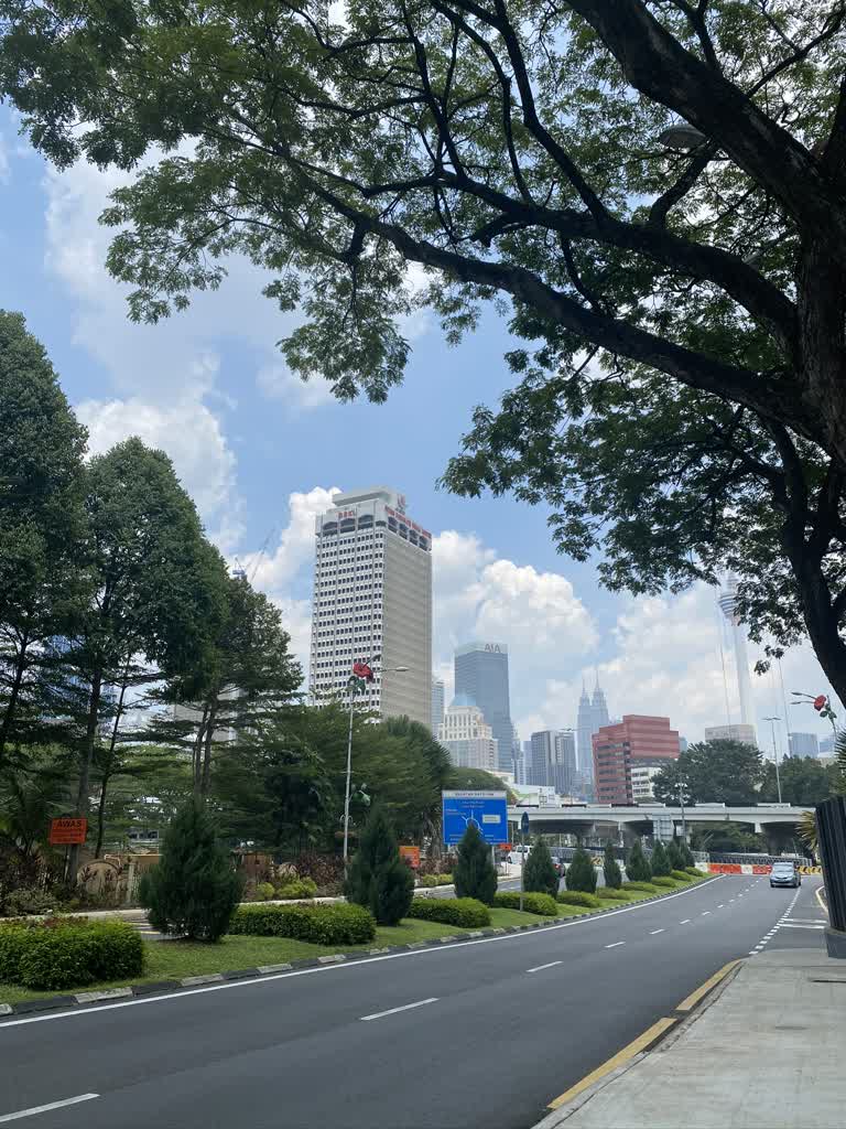 从路边可以看到一座城市